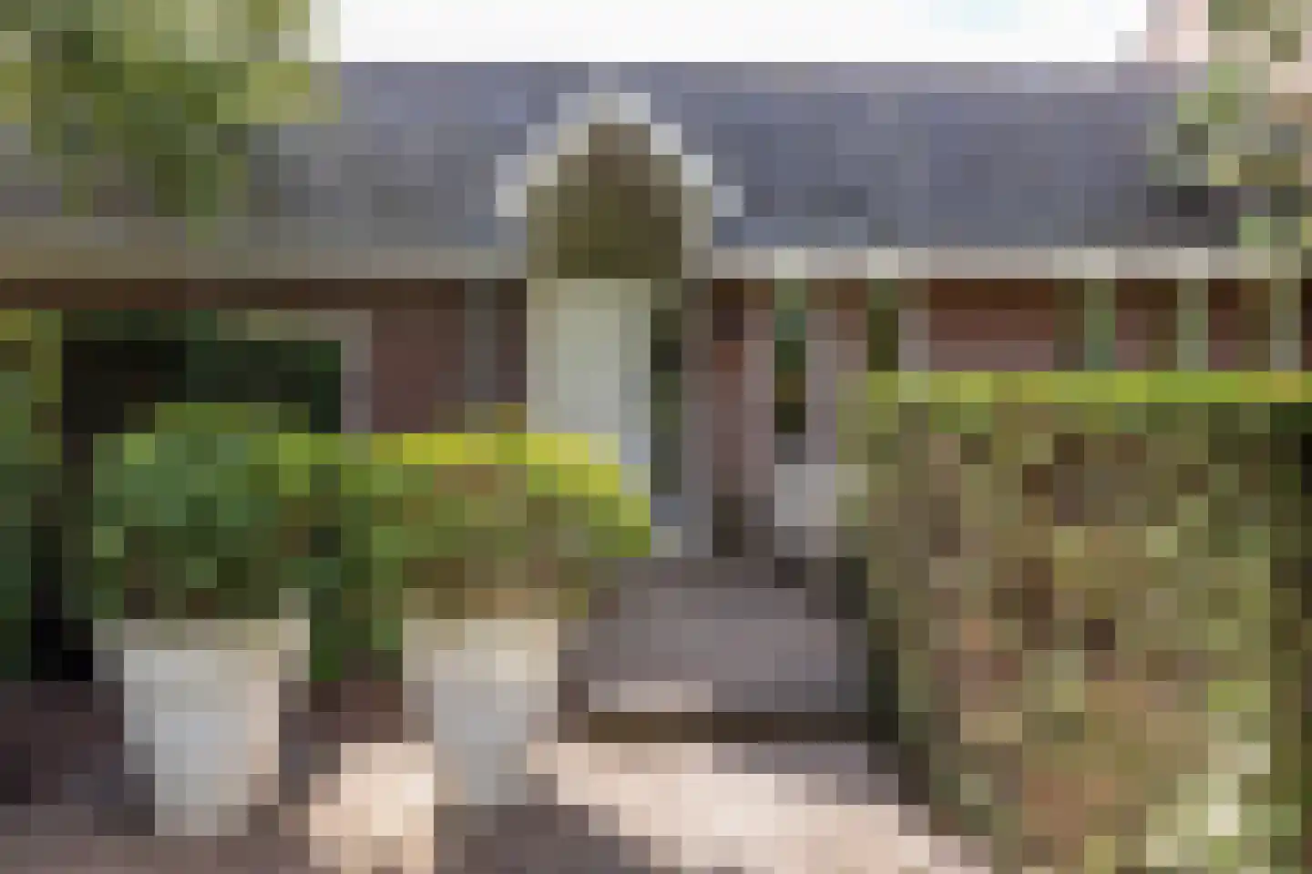 Kerkweg 22 Heenvliet thumbnail 62
