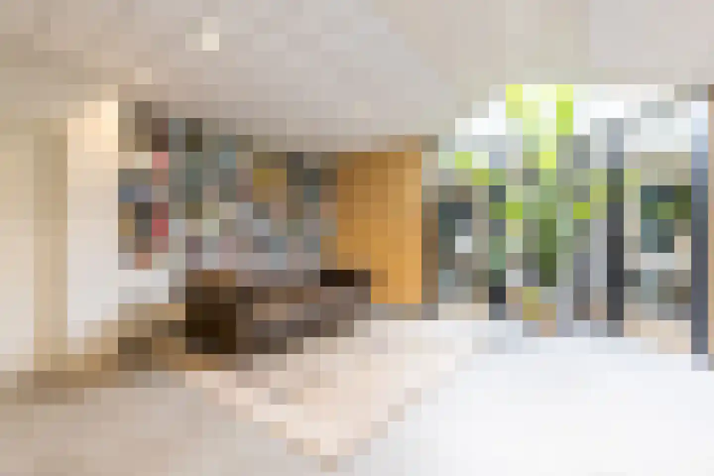 Kerkweg 22 Heenvliet thumbnail 67
