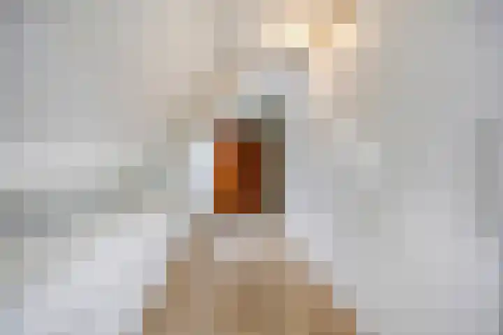 Kerkweg 22 Vaassen thumbnail 27