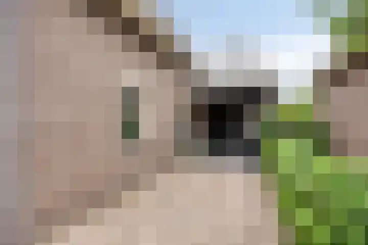 Kerkweg 22 Vaassen thumbnail 34
