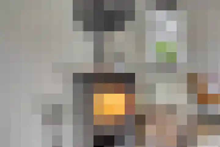 Kerkweg 22 Vaassen thumbnail 8
