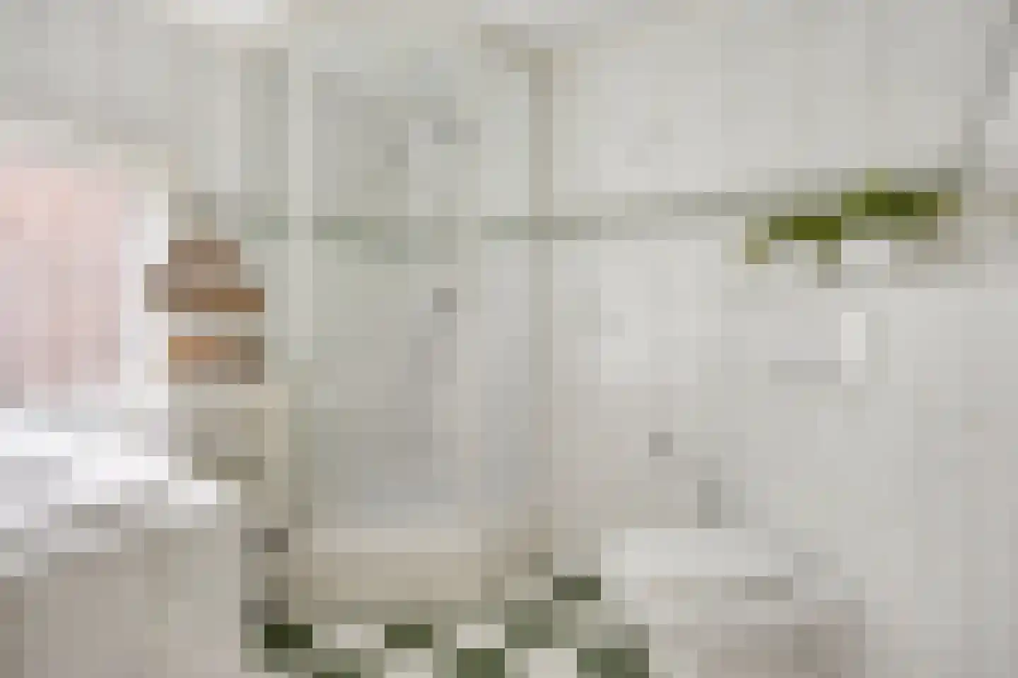 Kerkweg 221 Lekkerkerk thumbnail 21