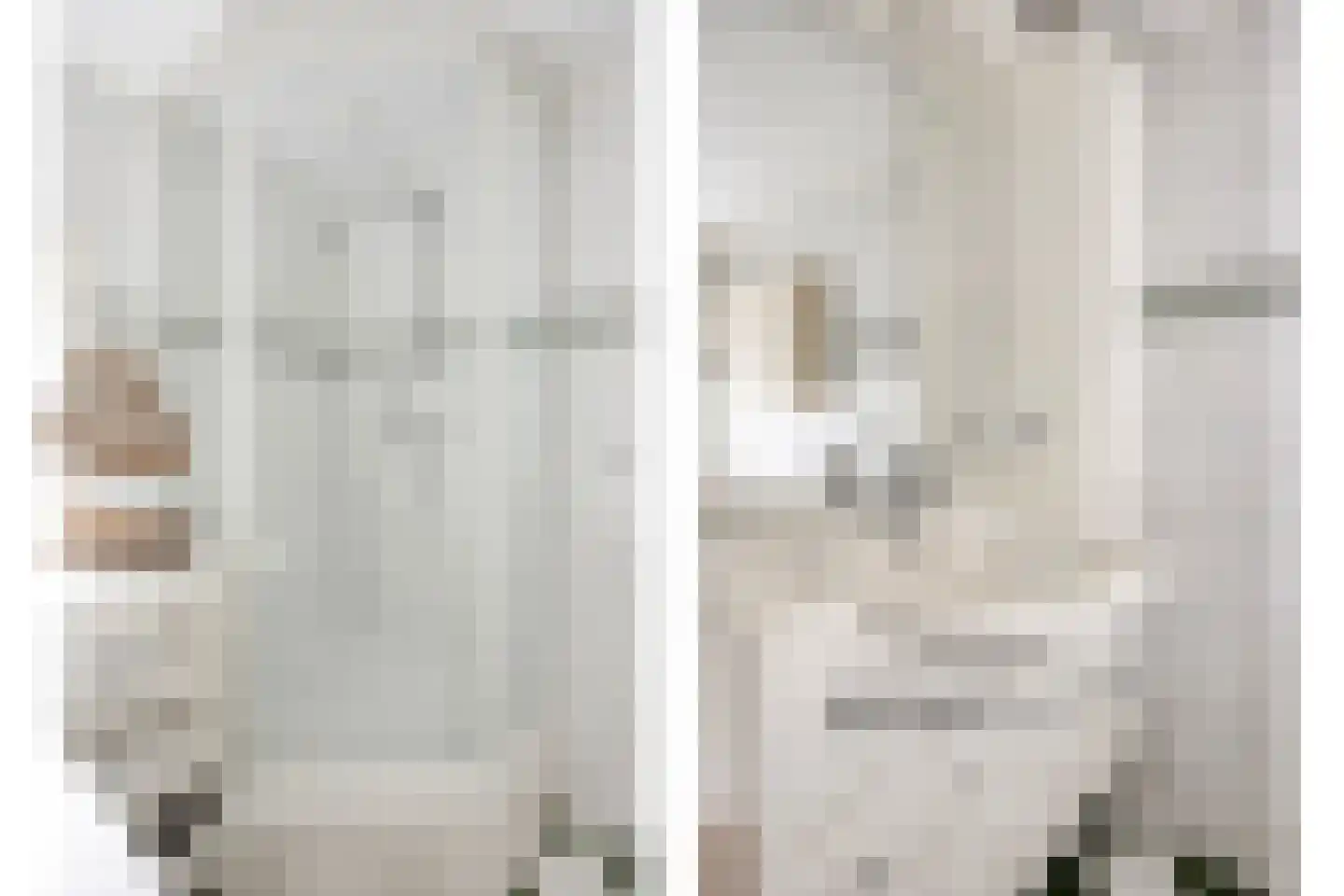 Kerkweg 221 Lekkerkerk thumbnail 23