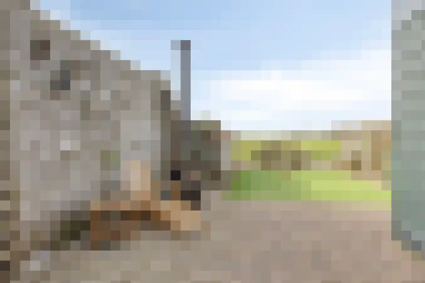 Kerkweg 221 Lekkerkerk thumbnail 26