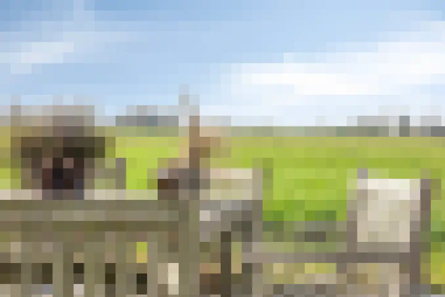 Kerkweg 221 Lekkerkerk thumbnail 29