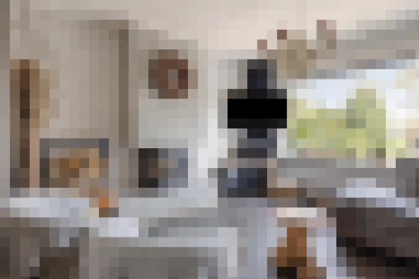Kerkweg 221 Lekkerkerk thumbnail 4