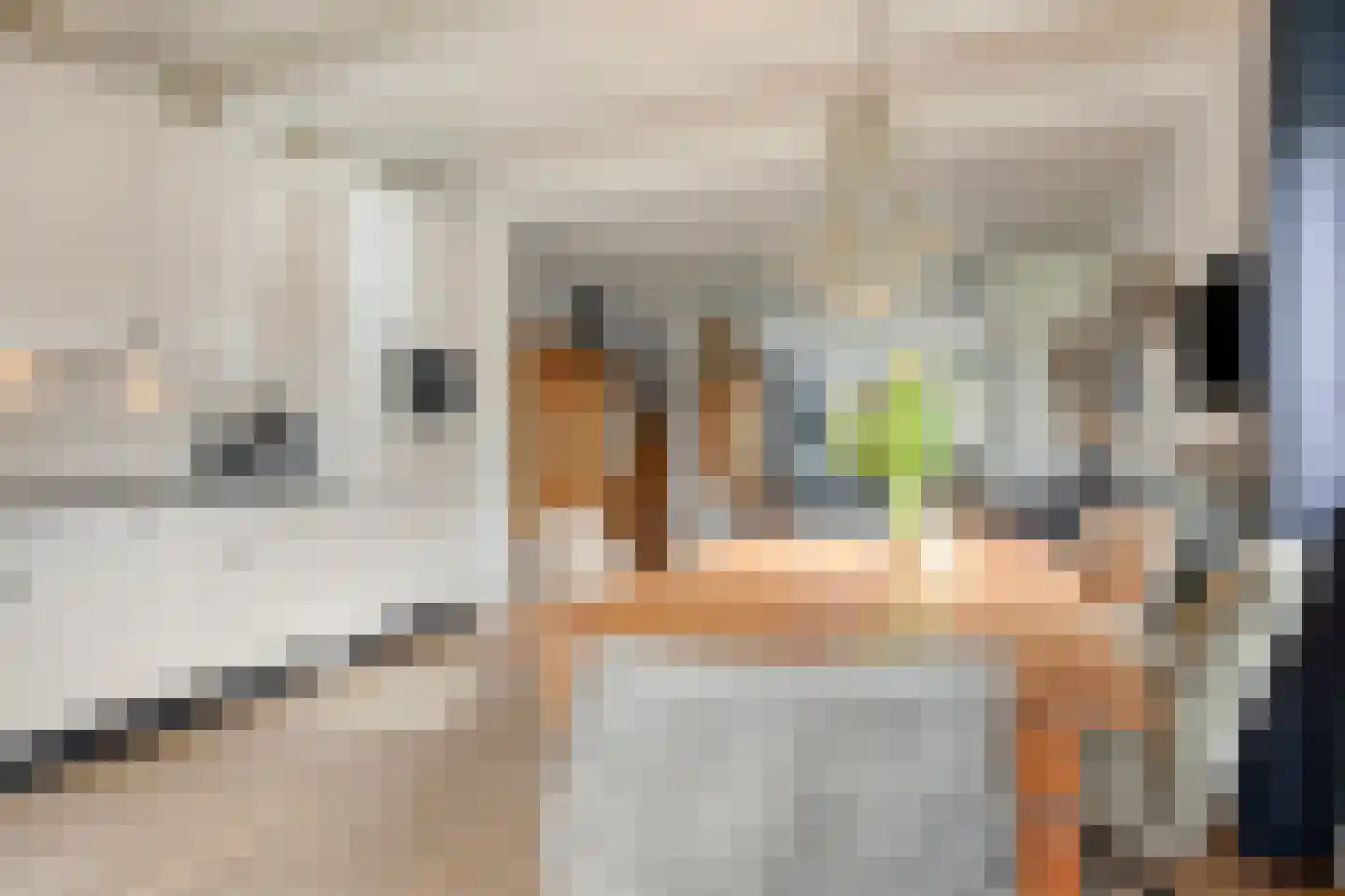 Kerkweg 221 Lekkerkerk thumbnail 8