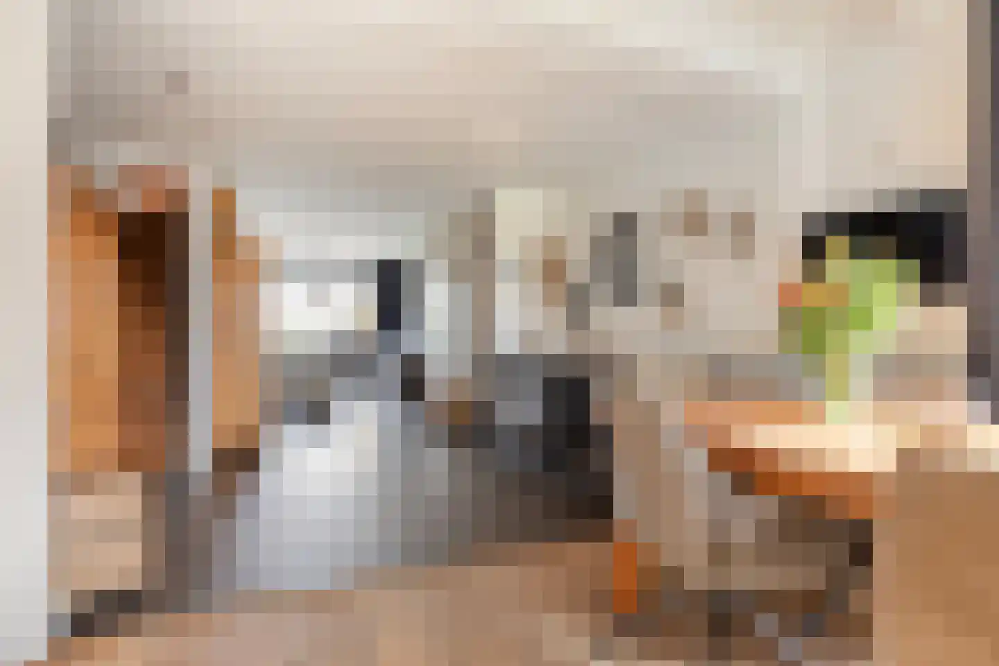Kerkweg 221 Lekkerkerk thumbnail 9