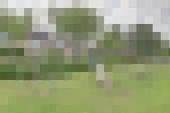 Kerkweg 23 Barendrecht thumbnail 31