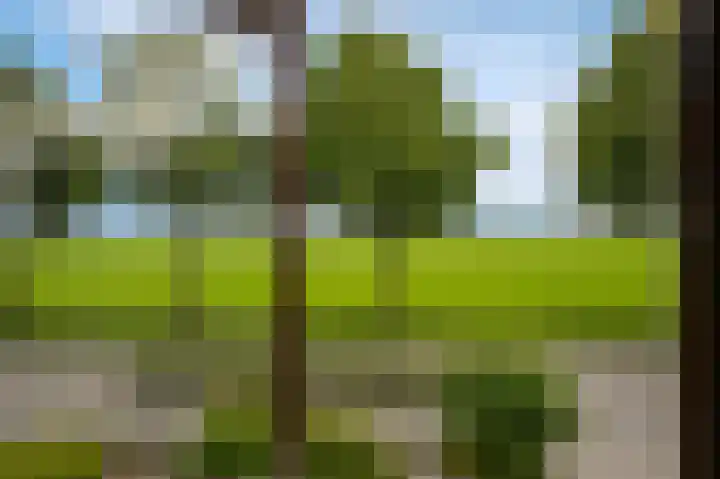 Kerkweg 23 Leerbroek thumbnail 20