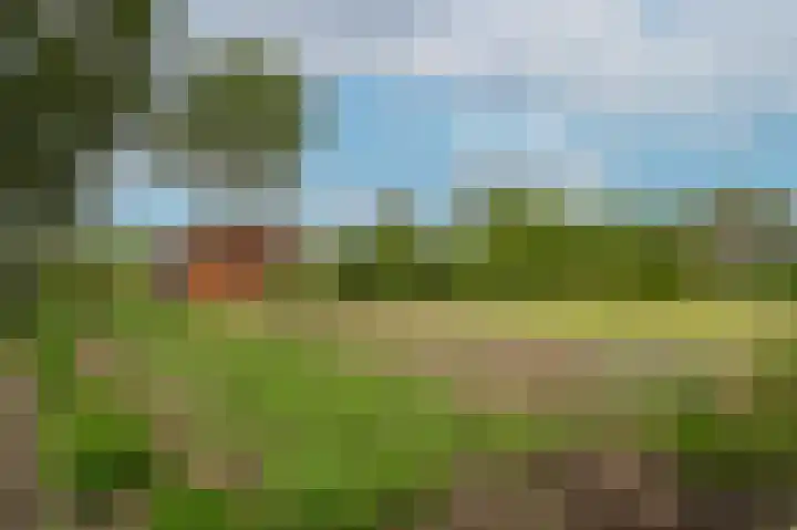 Kerkweg 23 Leerbroek thumbnail 27