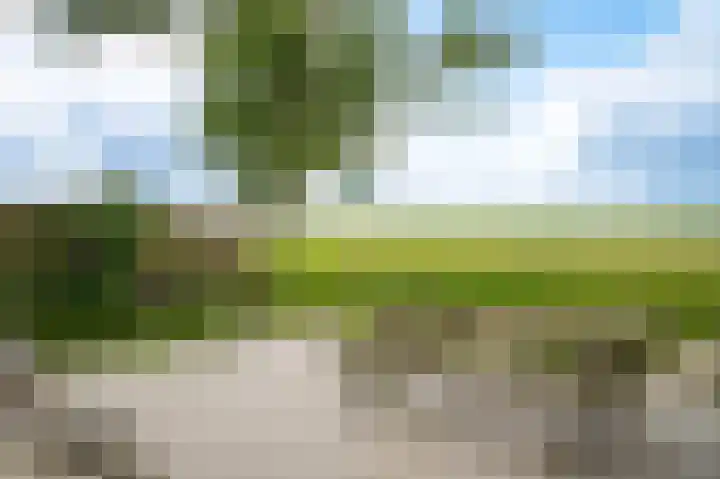 Kerkweg 23 Leerbroek thumbnail 28
