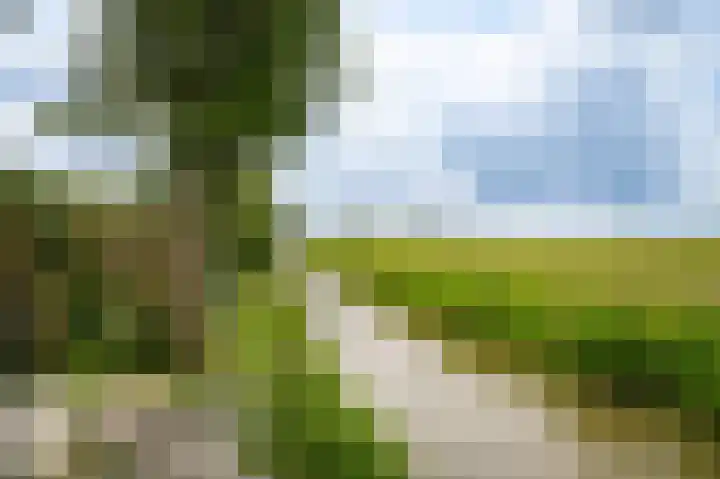 Kerkweg 23 Leerbroek thumbnail 29