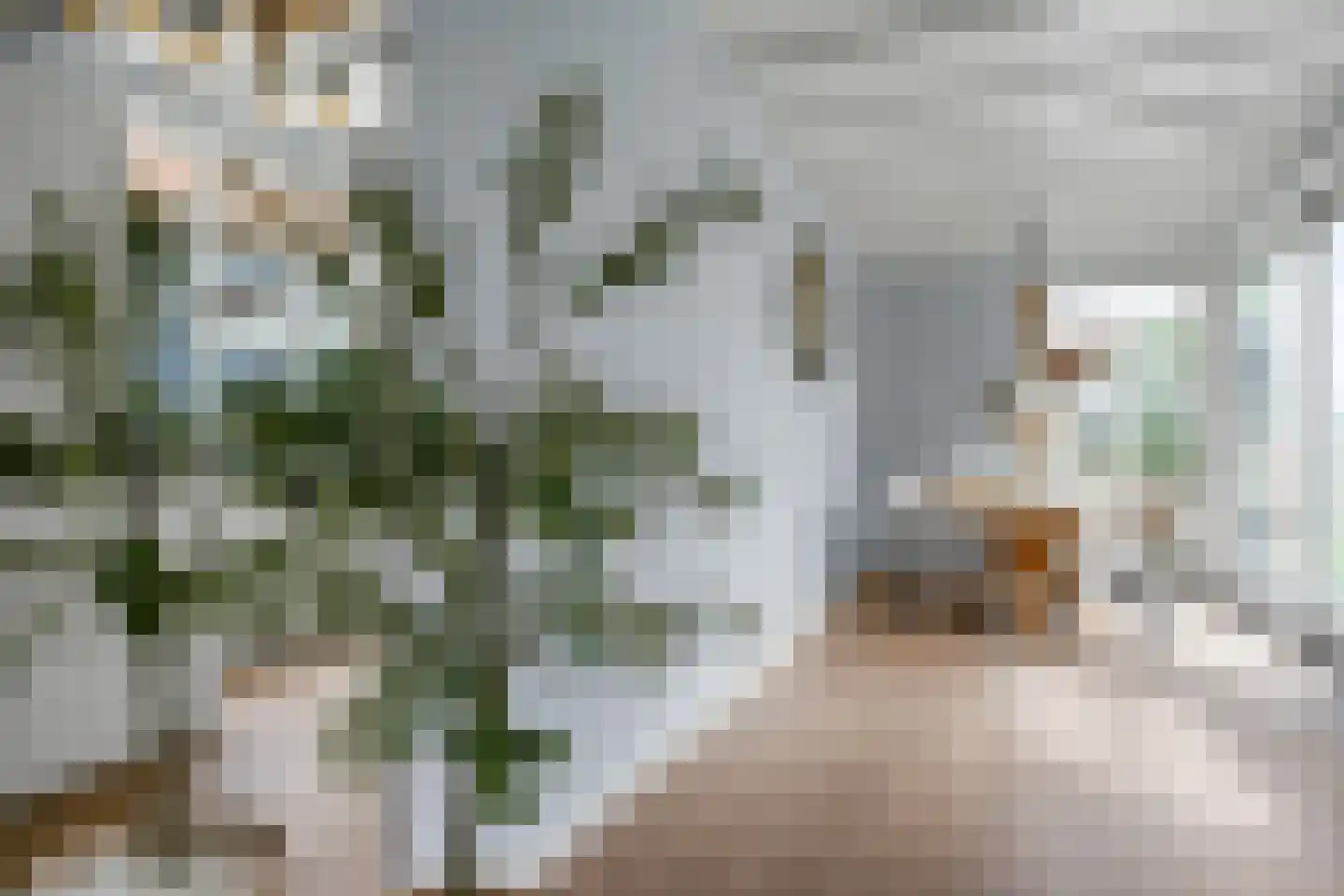 Kerkweg 23 Zijderveld thumbnail 12