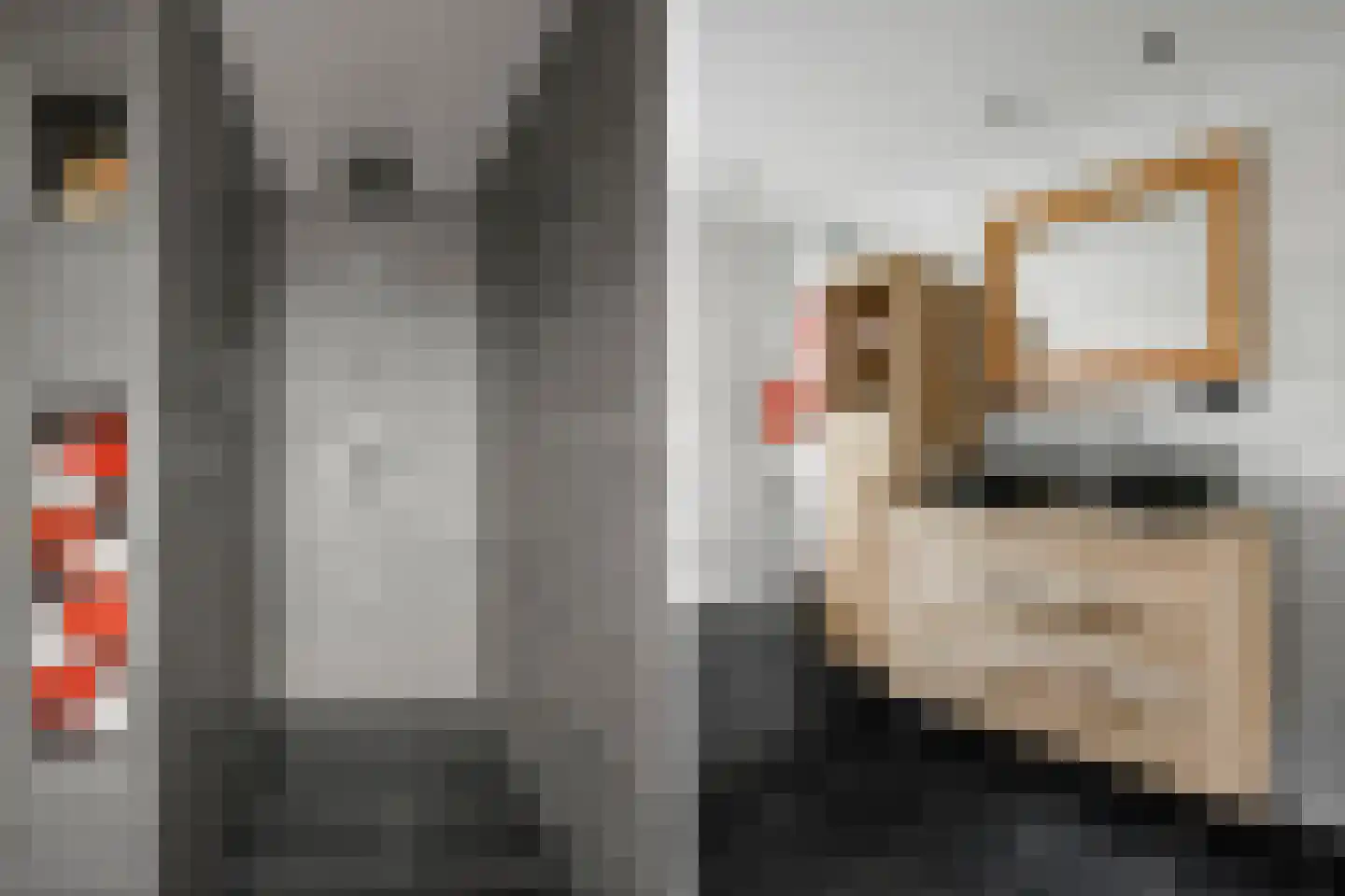 Kerkweg 23 Zijderveld thumbnail 16