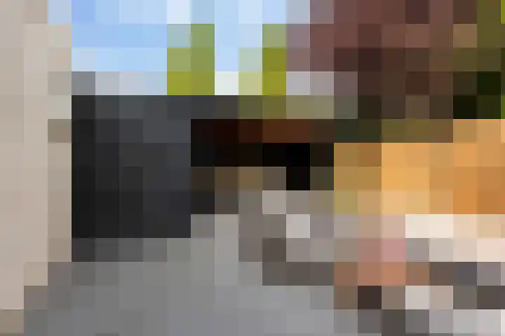 Kerkweg 23 Zwolle thumbnail 12
