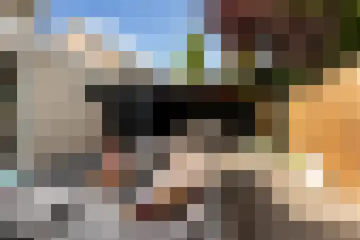 Kerkweg 23 Zwolle thumbnail 13