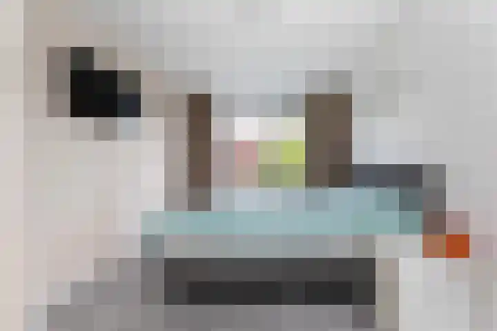 Kerkweg 23 Zwolle thumbnail 16