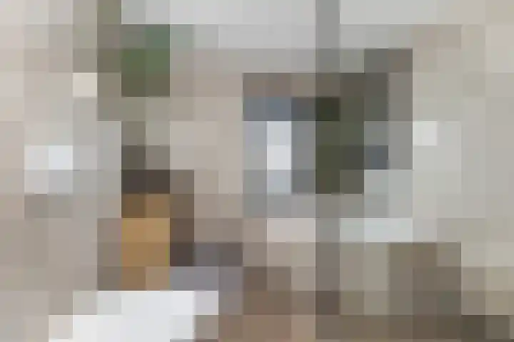 Kerkweg 23 Zwolle thumbnail 17