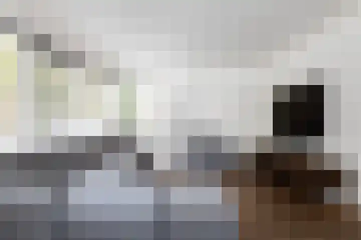 Kerkweg 23 Zwolle thumbnail 7