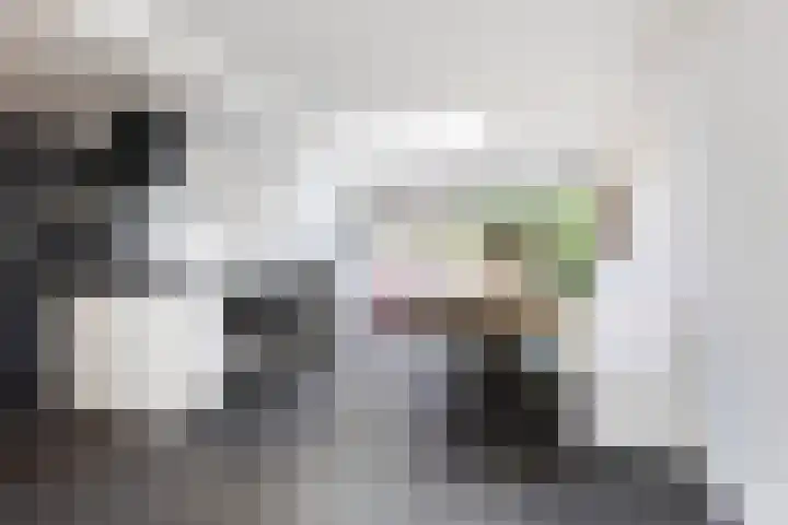 Kerkweg 23 Zwolle thumbnail 9