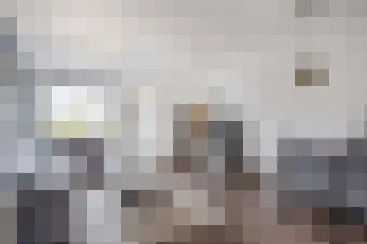 Kerkweg 239 Lekkerkerk thumbnail 10