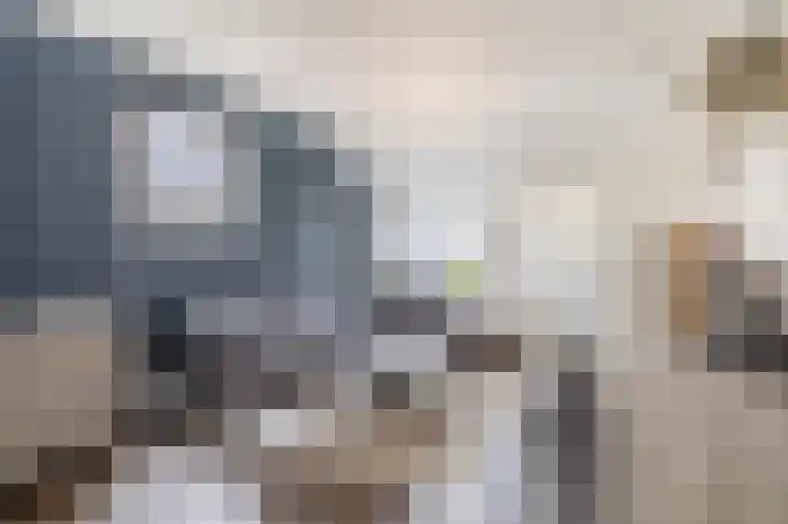Kerkweg 239 Lekkerkerk thumbnail 11