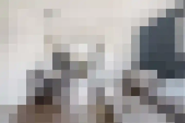 Kerkweg 239 Lekkerkerk thumbnail 13
