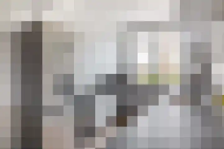 Kerkweg 239 Lekkerkerk thumbnail 16