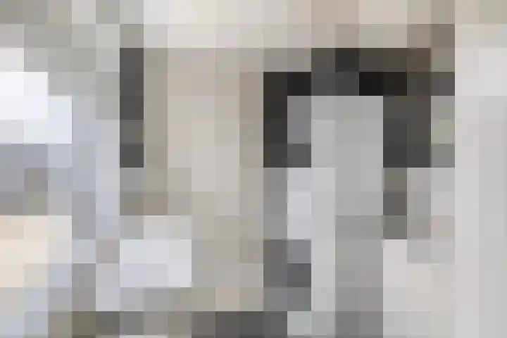 Kerkweg 239 Lekkerkerk thumbnail 17