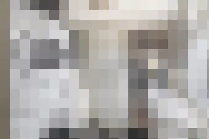 Kerkweg 239 Lekkerkerk thumbnail 18