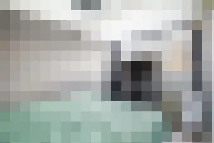 Kerkweg 239 Lekkerkerk thumbnail 21
