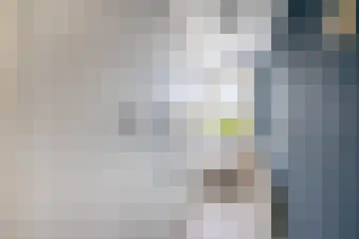 Kerkweg 239 Lekkerkerk thumbnail 25