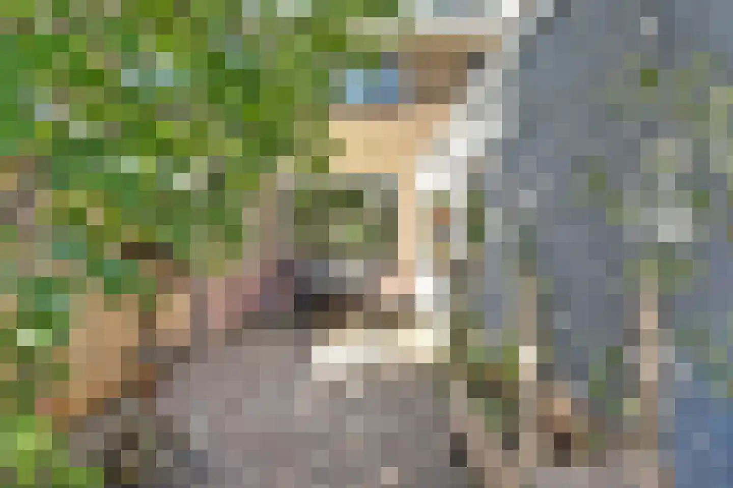 Kerkweg 239 Ridderkerk thumbnail 34