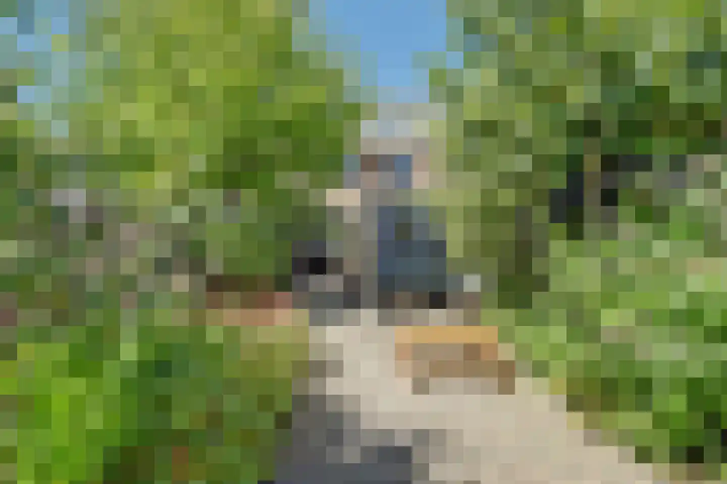 Kerkweg 239 Ridderkerk thumbnail 35