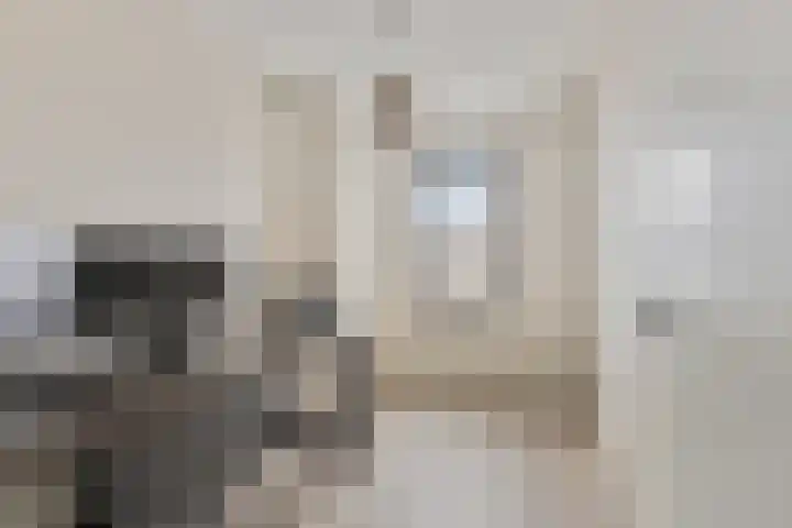 Kerkweg 24 Kootwijkerbroek thumbnail 23