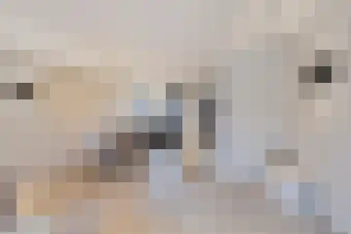 Kerkweg 24 Kootwijkerbroek thumbnail 7