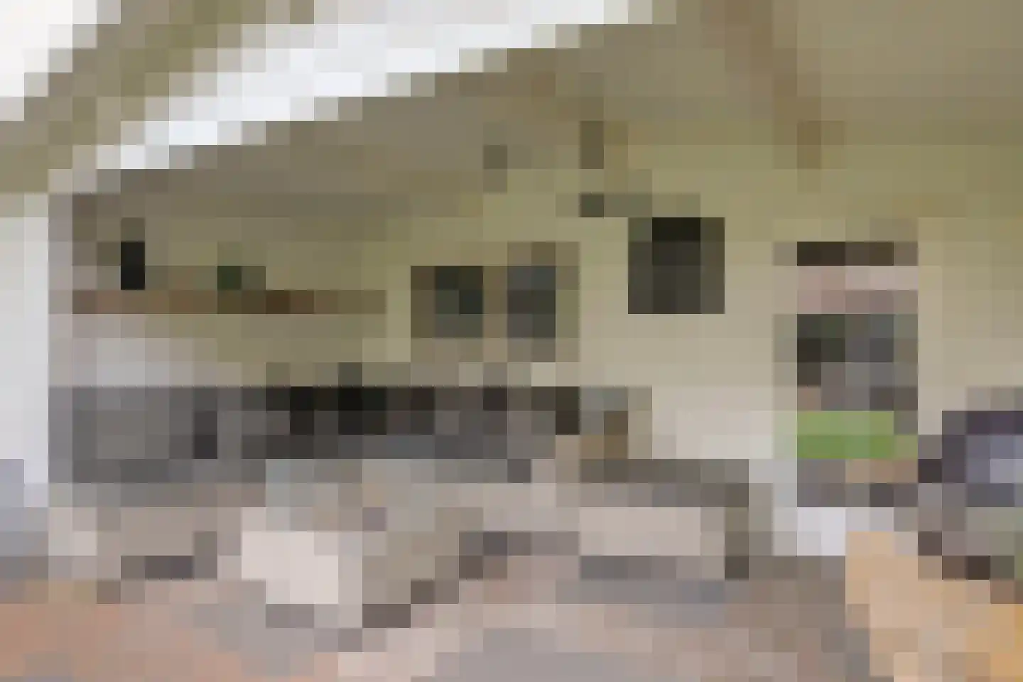 Kerkweg 257 Ridderkerk thumbnail 39