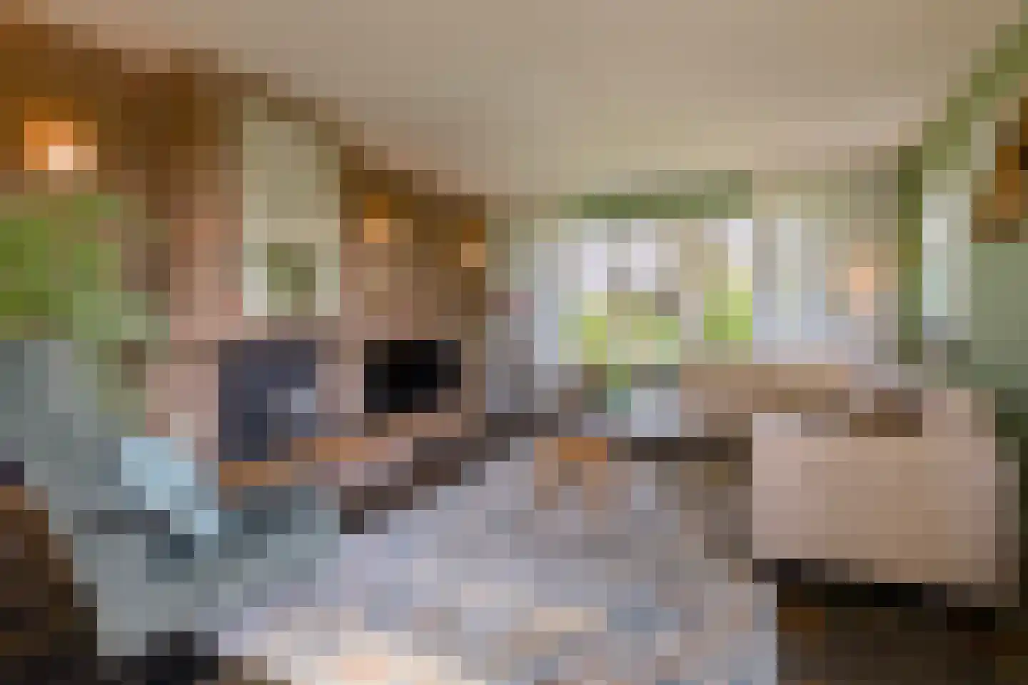 Kerkweg 26 Deurningen thumbnail 10