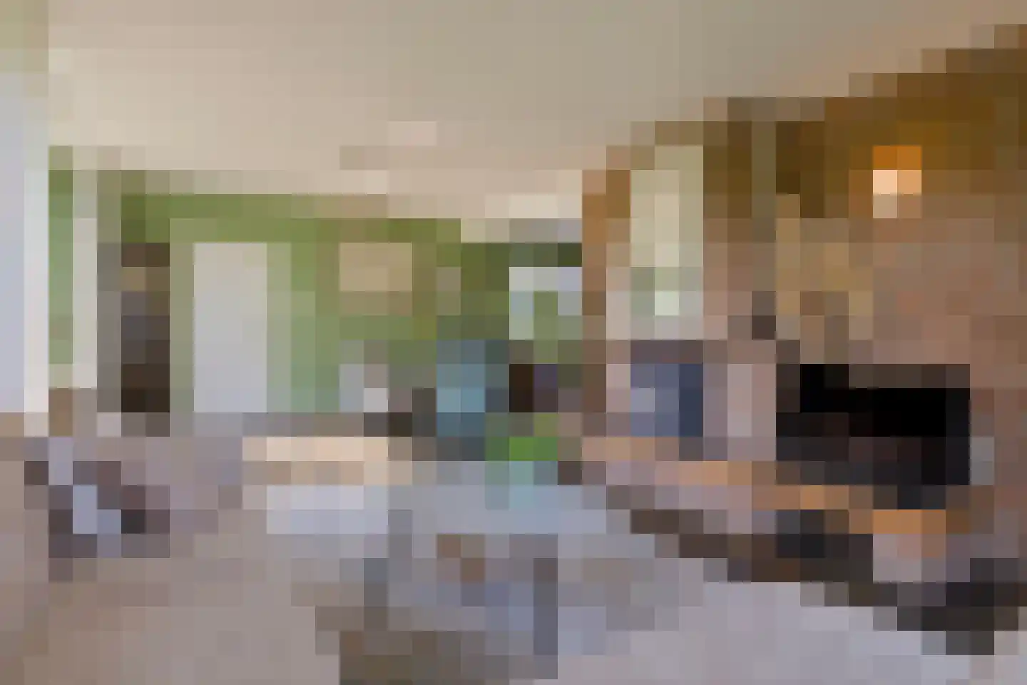 Kerkweg 26 Deurningen thumbnail 12