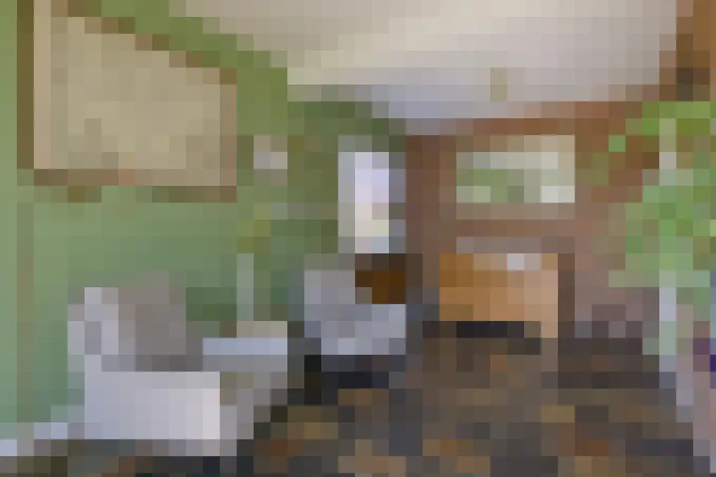 Kerkweg 26 Deurningen thumbnail 14