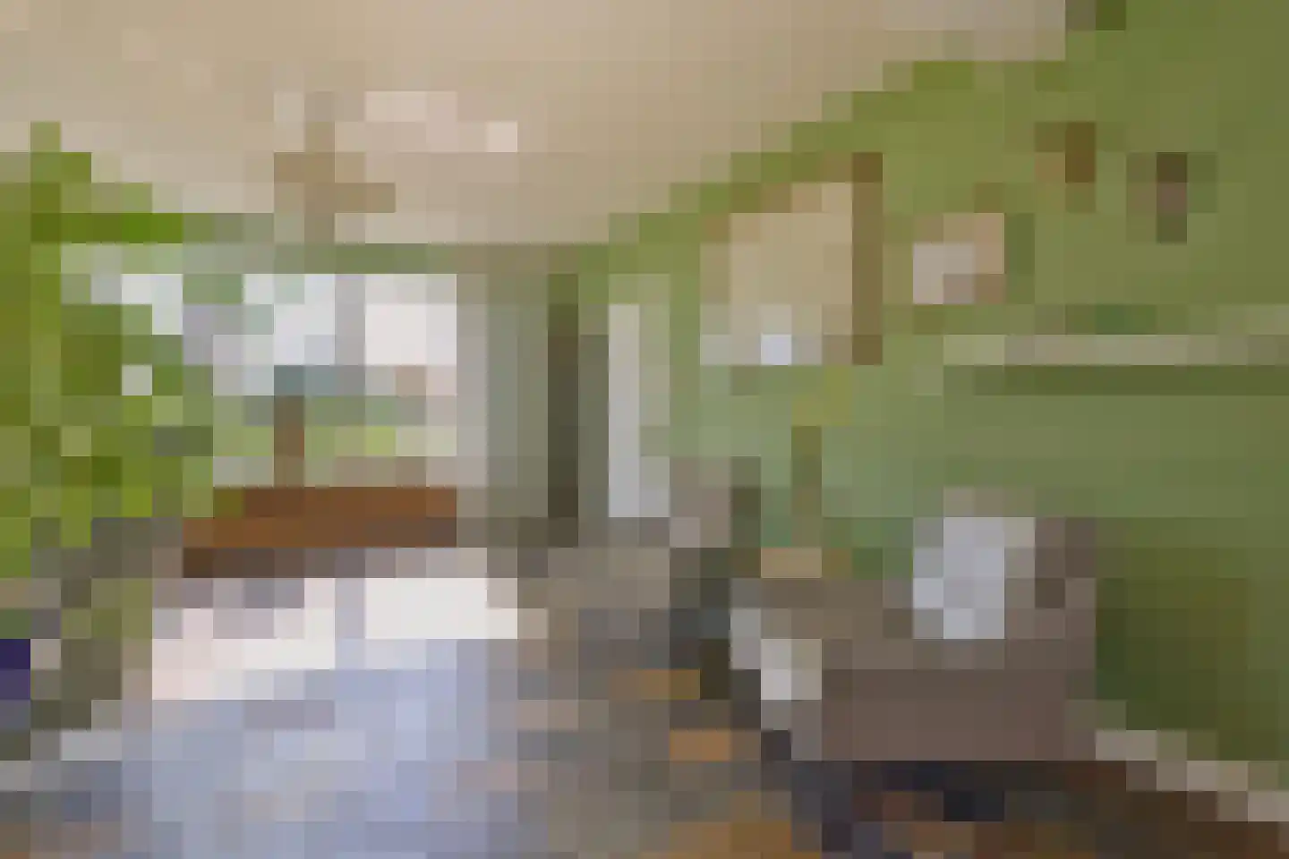 Kerkweg 26 Deurningen thumbnail 15