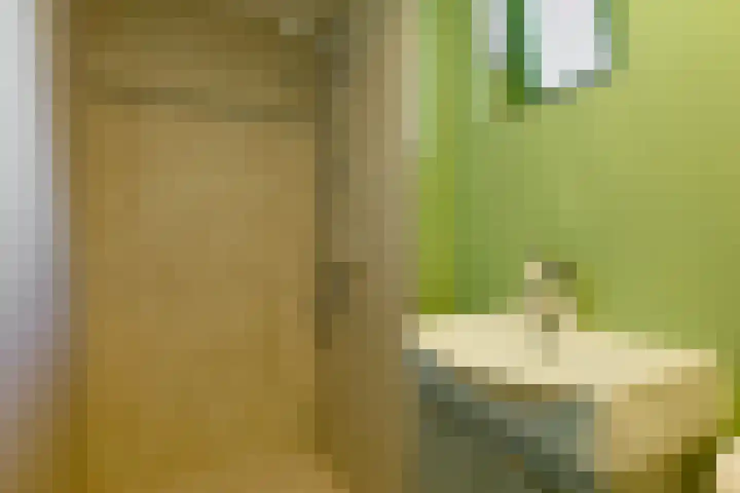 Kerkweg 26 Deurningen thumbnail 17