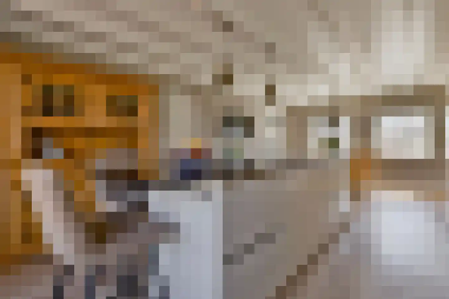 Kerkweg 26 Deurningen thumbnail 21