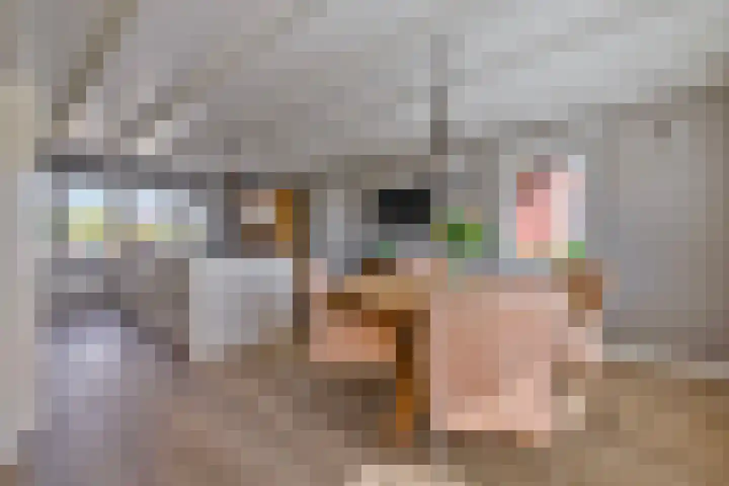 Kerkweg 26 Deurningen thumbnail 23