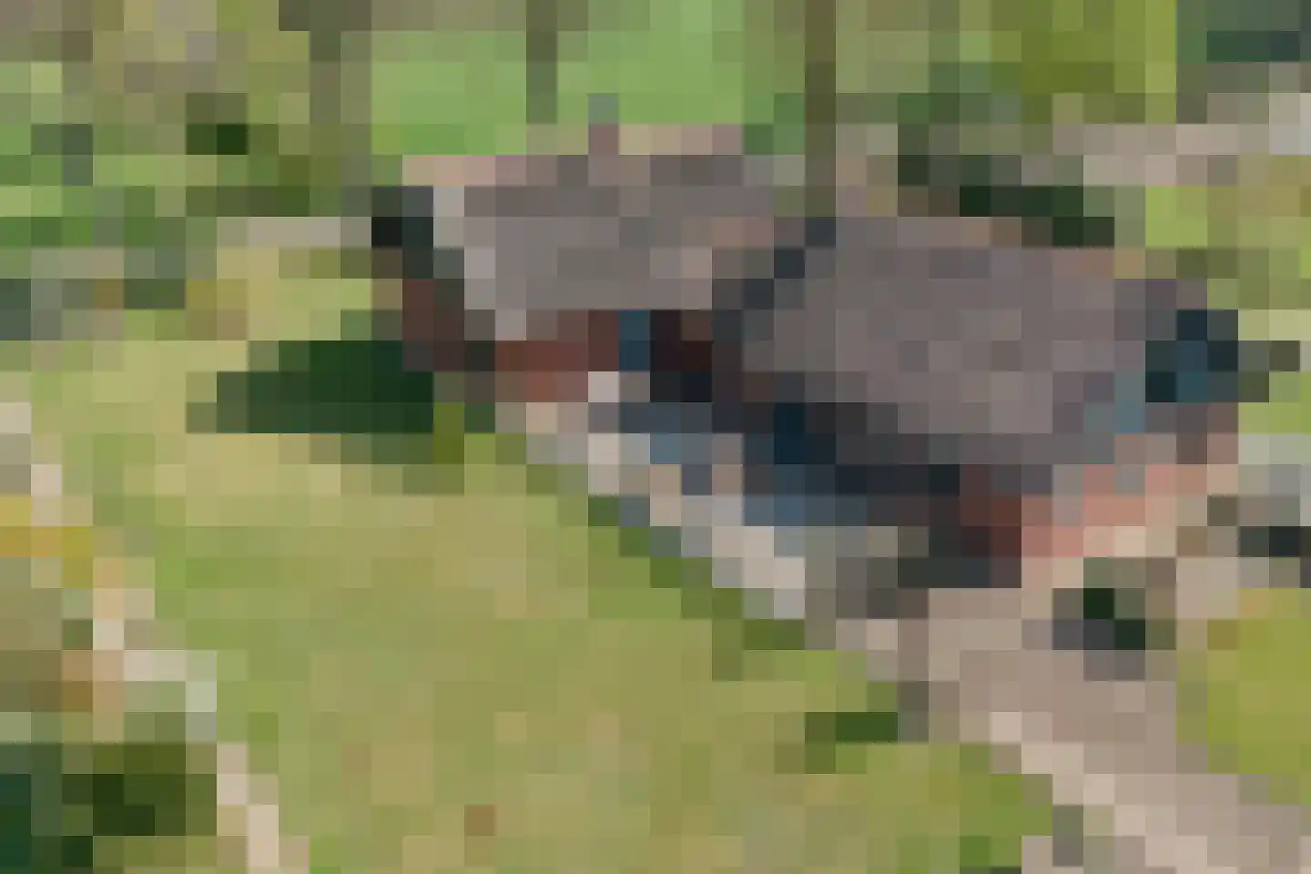 Kerkweg 26 Deurningen thumbnail 6