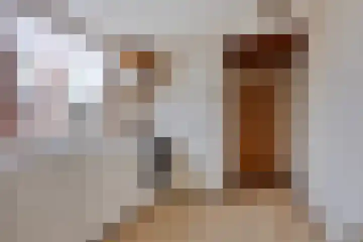Kerkweg 26 Leerbroek thumbnail 17