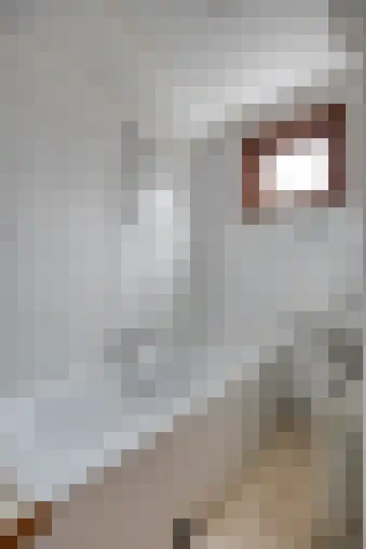 Kerkweg 26 Leerbroek thumbnail 22