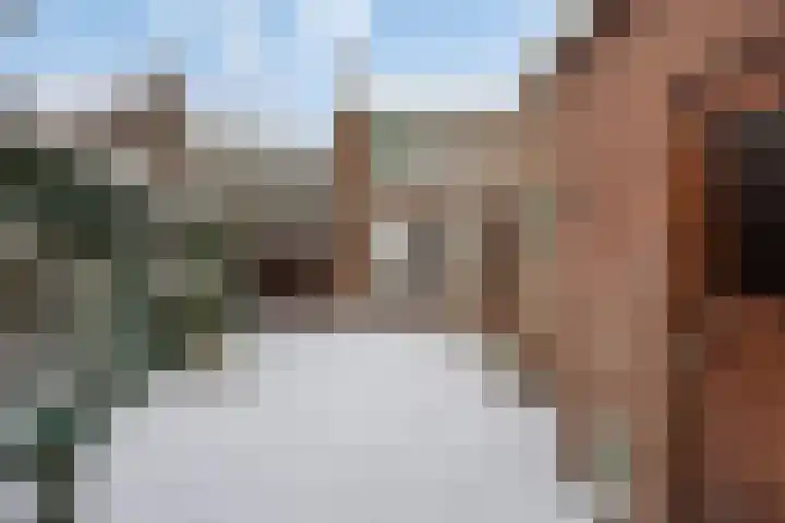 Kerkweg 26 Leerbroek thumbnail 38