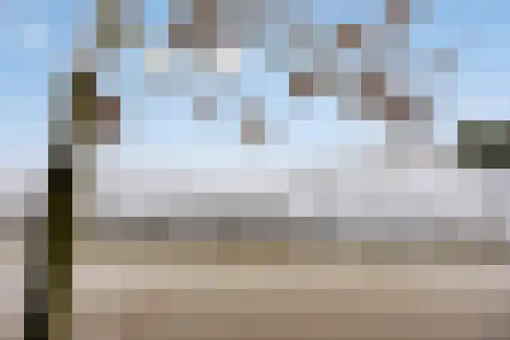 Kerkweg 26 Leerbroek thumbnail 44